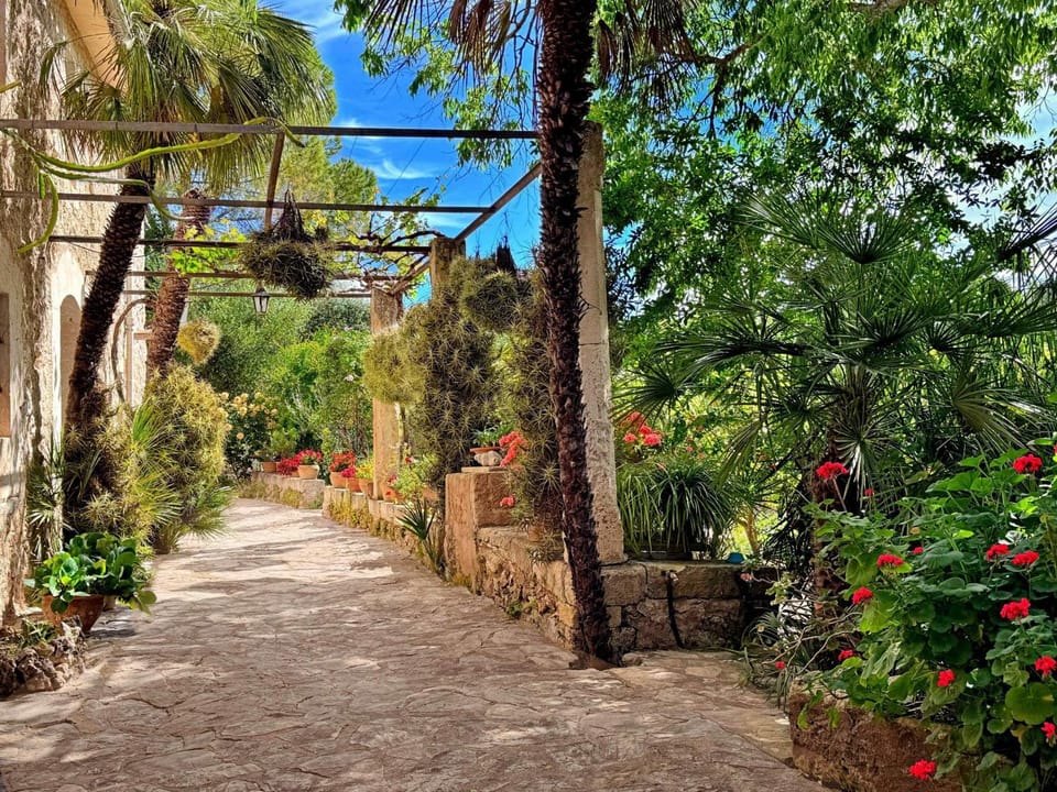 Patio, Garden, Garden view
