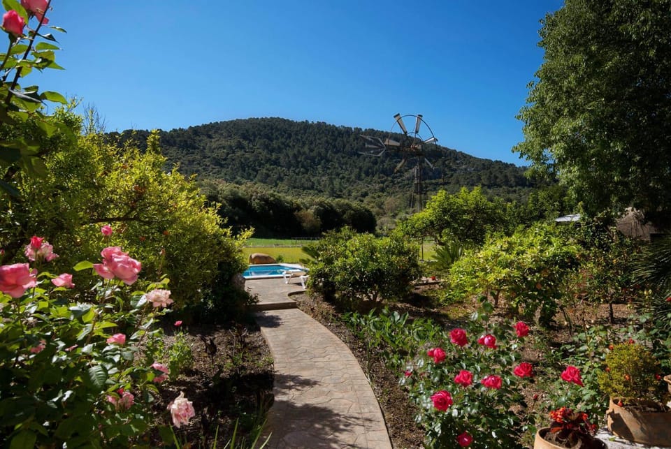 Patio, Garden, Garden view