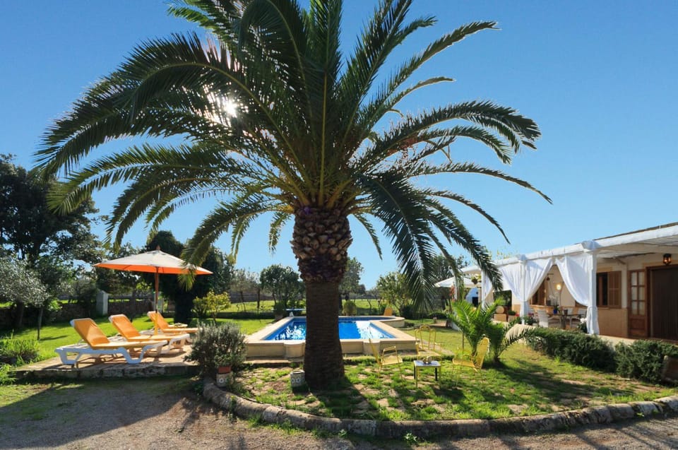 Patio, Garden, Garden view