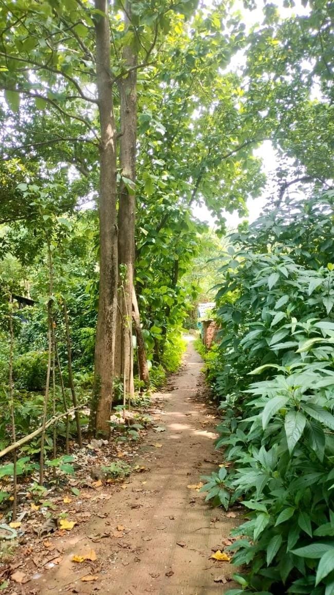 Natural landscape, Garden view
