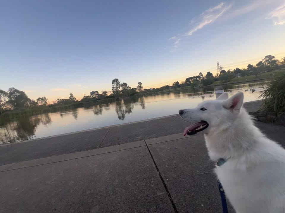 Lake view