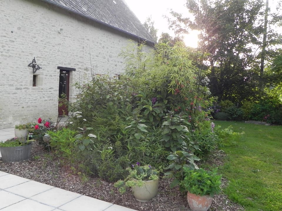 Natural landscape, Garden, Garden view