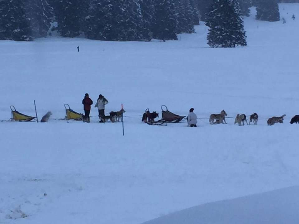 Malga Millegrobbe Nordic Resort Resort in Trentino-South Tyrol