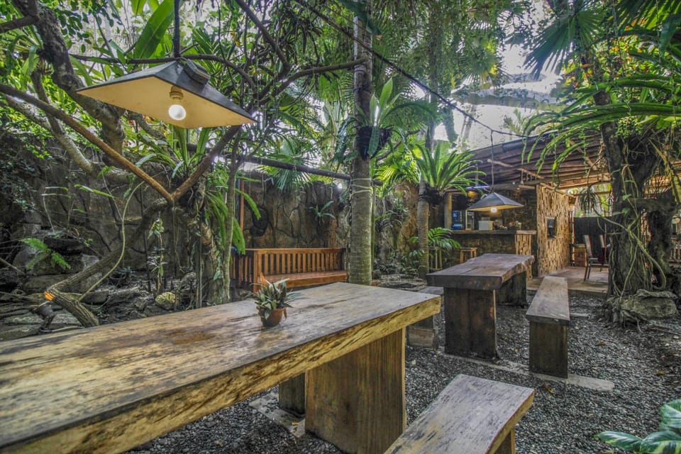 Patio, Restaurant/places to eat, Garden