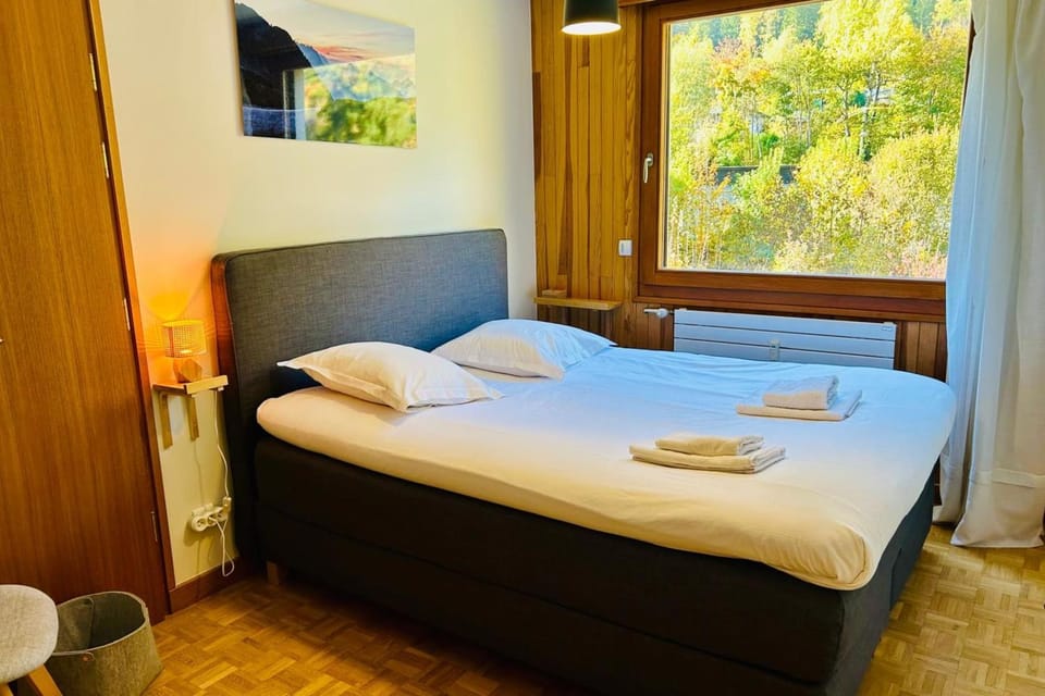Comfort nature and exceptional Mont Blanc view Apartment in Chamonix