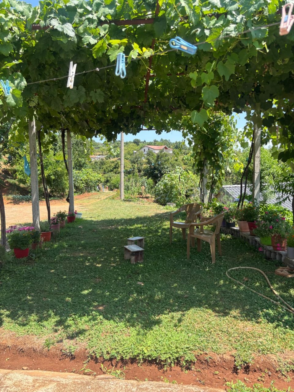 Villa Ndoj Bukmire Nature lodge in Montenegro