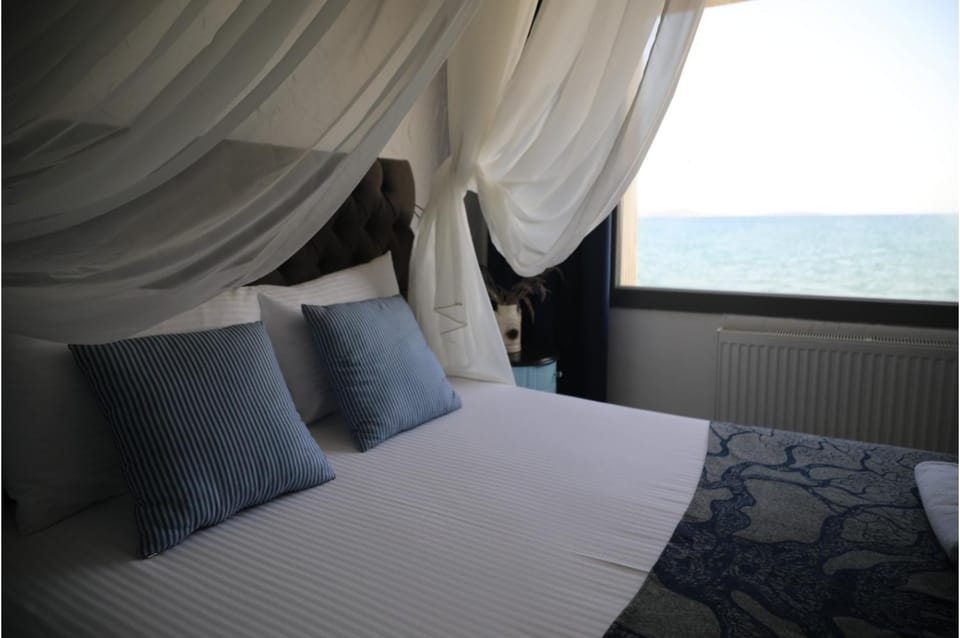 Bed, Natural landscape, Photo of the whole room, Sea view