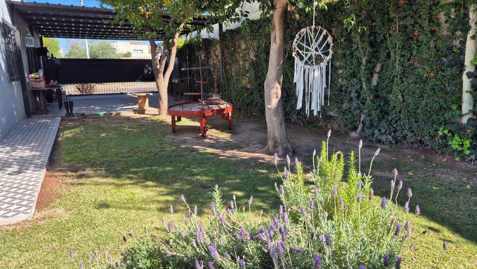 Patio, Day, Garden, Garden view