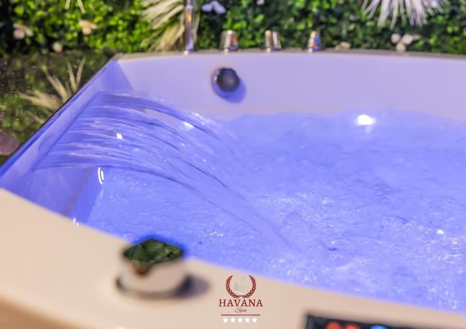 Loft "Havana Spa" Cuba Jacuzzi Sauna Bar à cocktails Apartment in Saint-Étienne