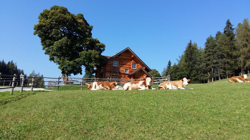 Facade/entrance, Natural landscape, Pets