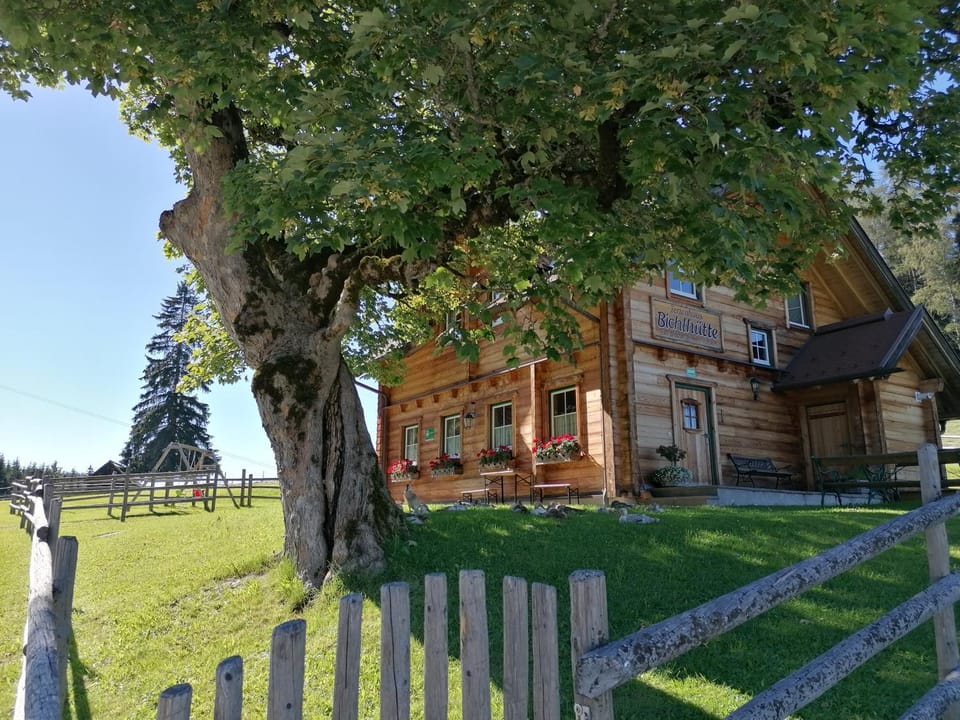Property building, Garden