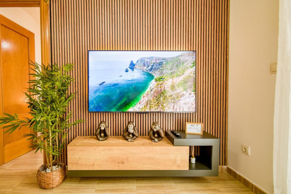 TV and multimedia