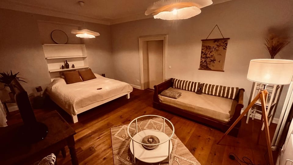 Apartment am Schloss - CHARME Apartment in Saarbrücken