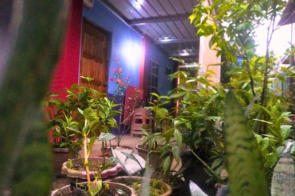 Garden, Dining area