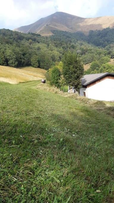 Natural landscape