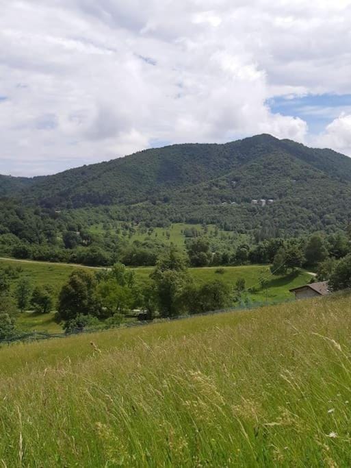 Natural landscape