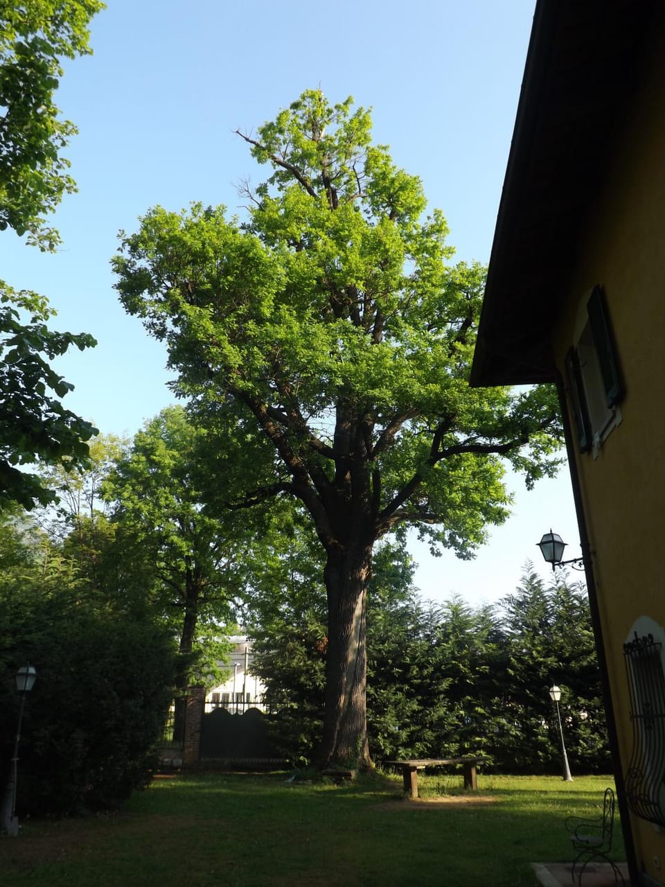 Garden, Garden view