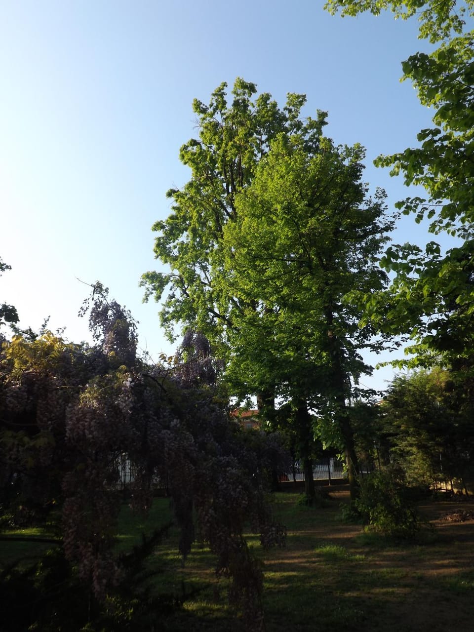 Garden, View (from property/room)