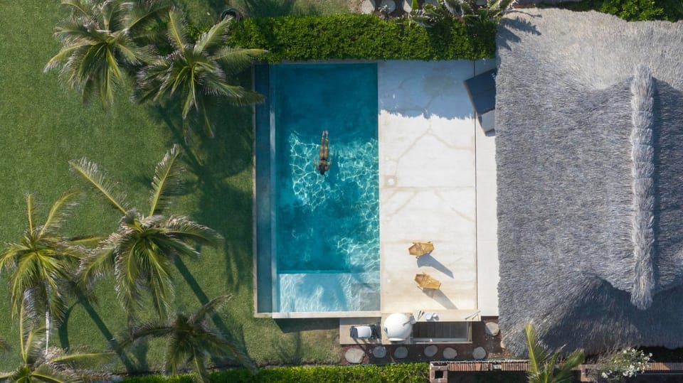Garden, View (from property/room), Garden view, Pool view