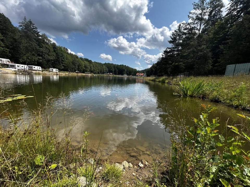 Lake view