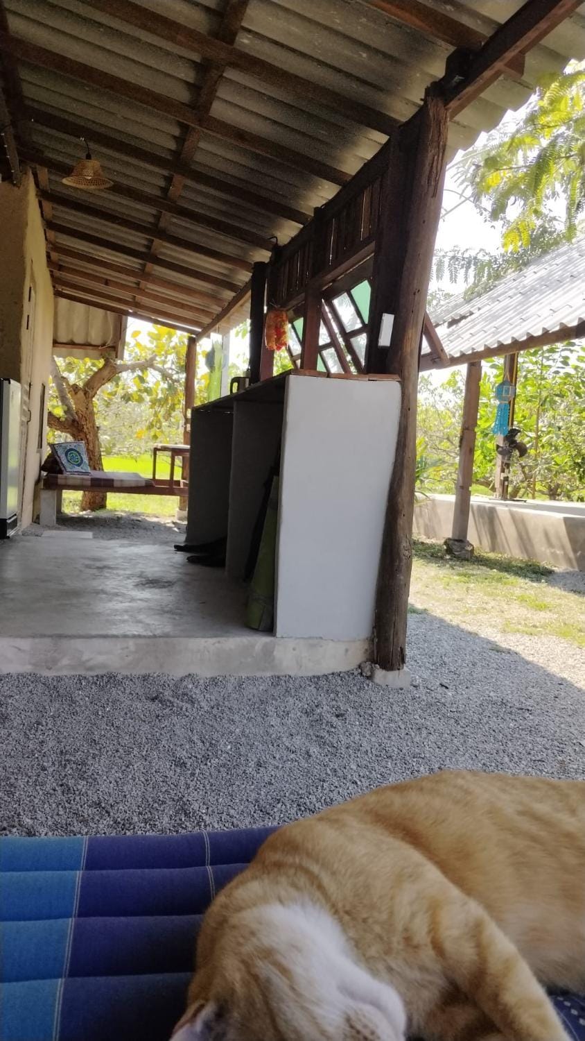 Patio, Kitchen or kitchenette