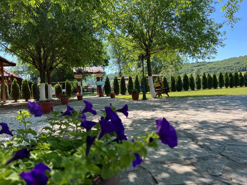 Inner courtyard view