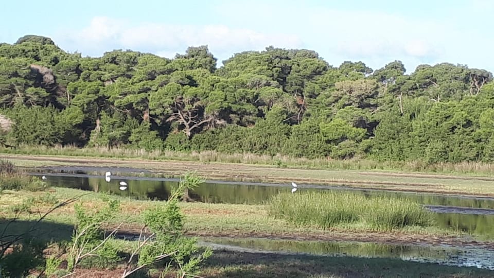 Natural landscape, Lake view, River view
