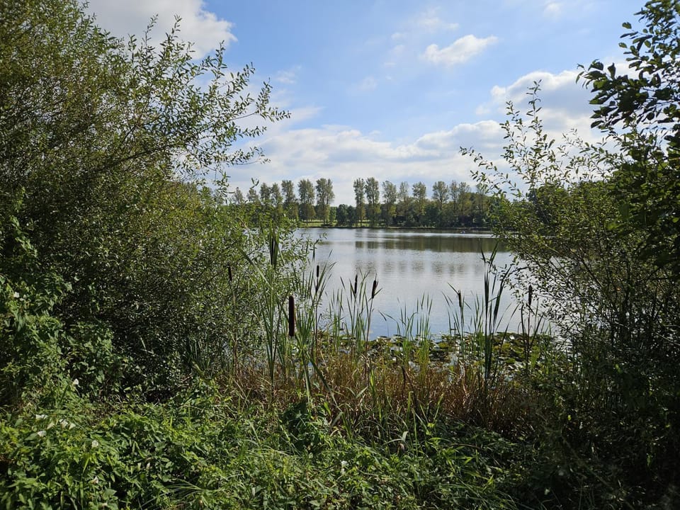Natural landscape