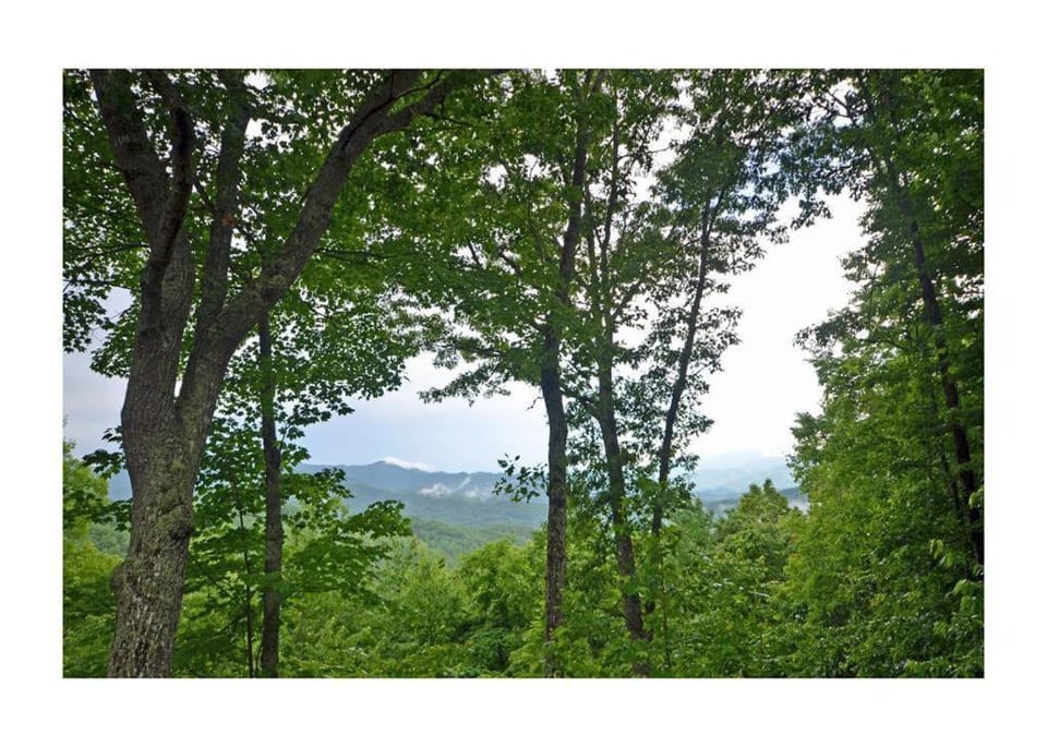 Dream Circle House in Swain County