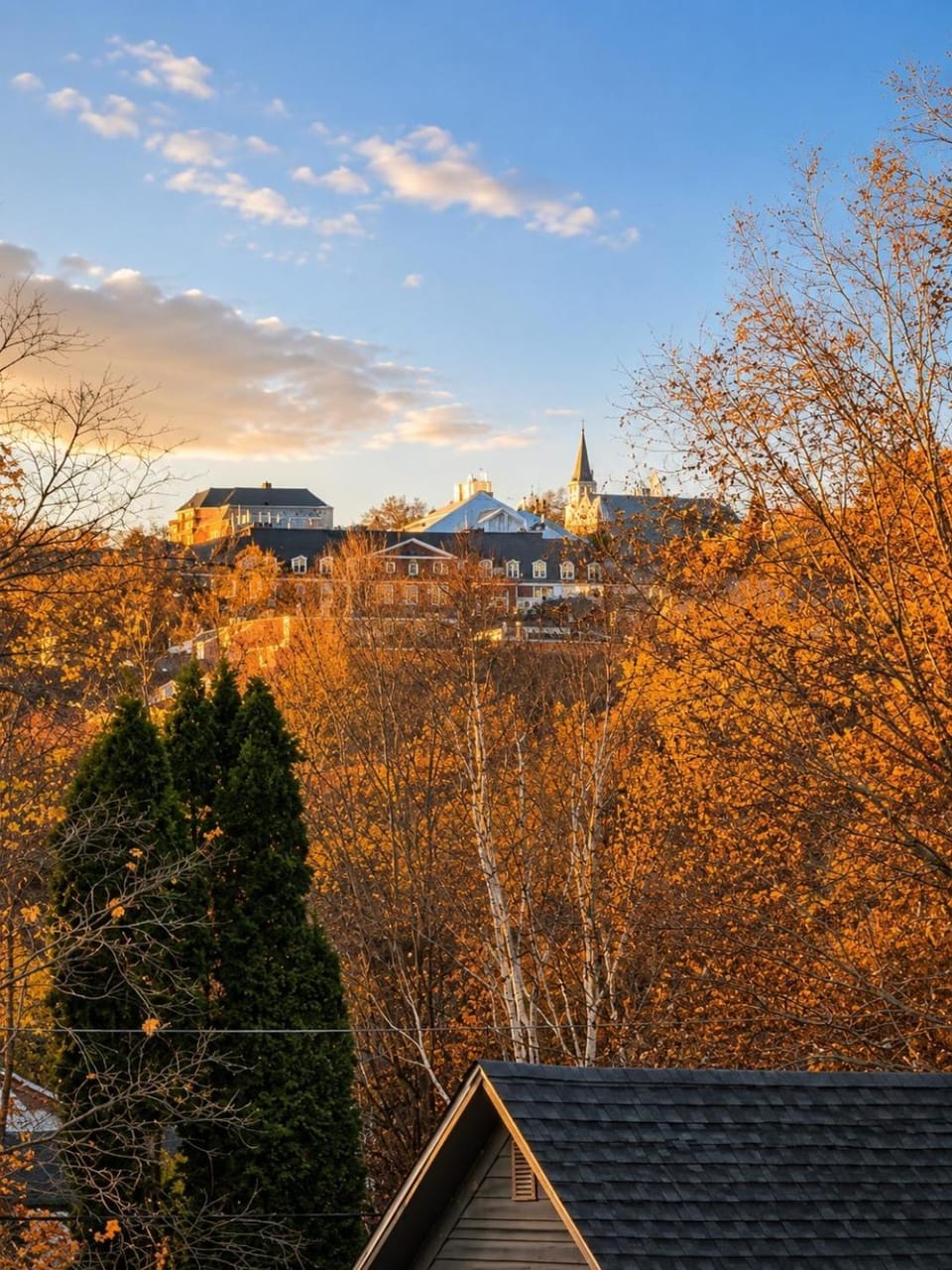 City view