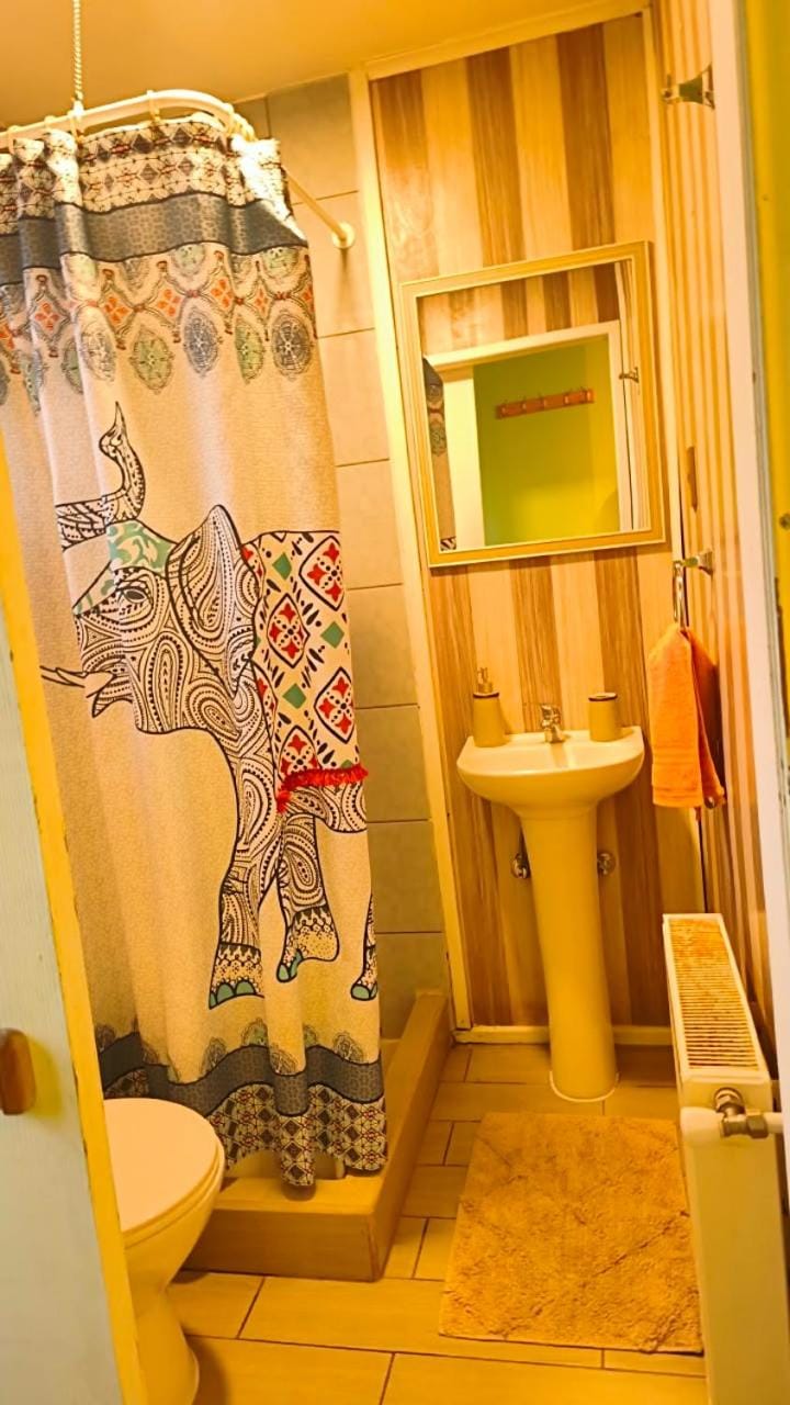 Shower