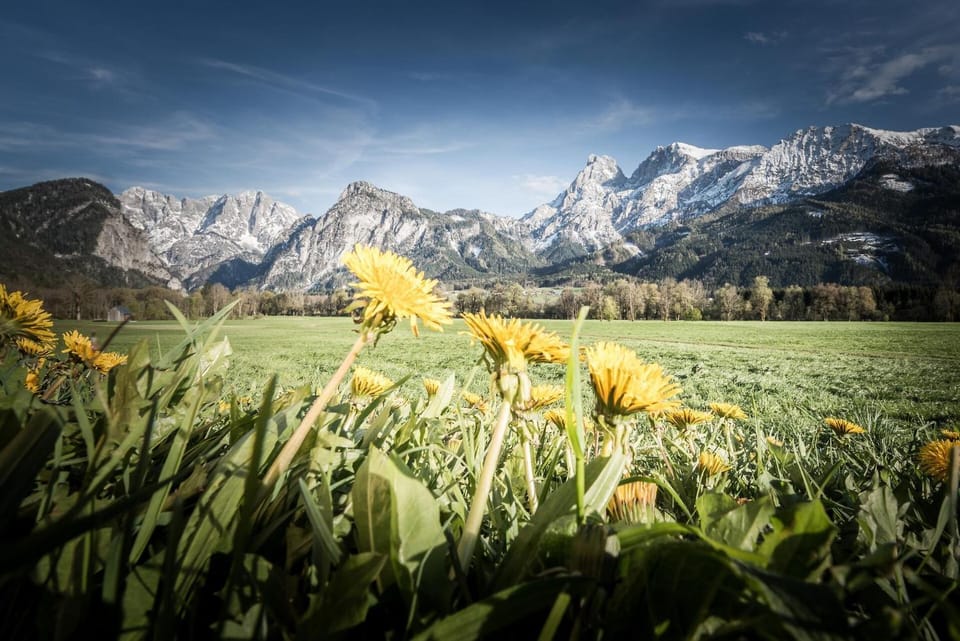 Spring, Day, Natural landscape, Mountain view