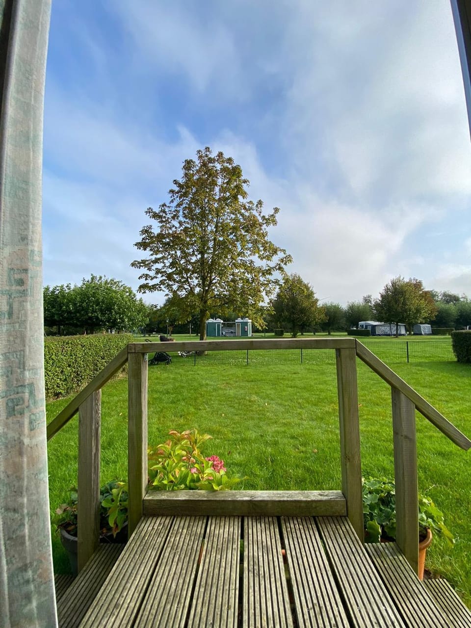 Garden view