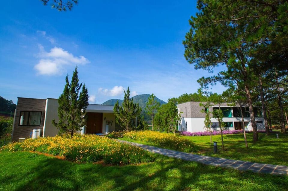 Day, Natural landscape, Garden, Garden view