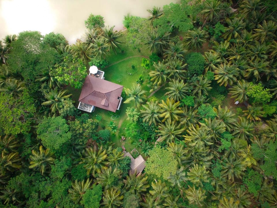 Day, Bird's eye view, Garden view