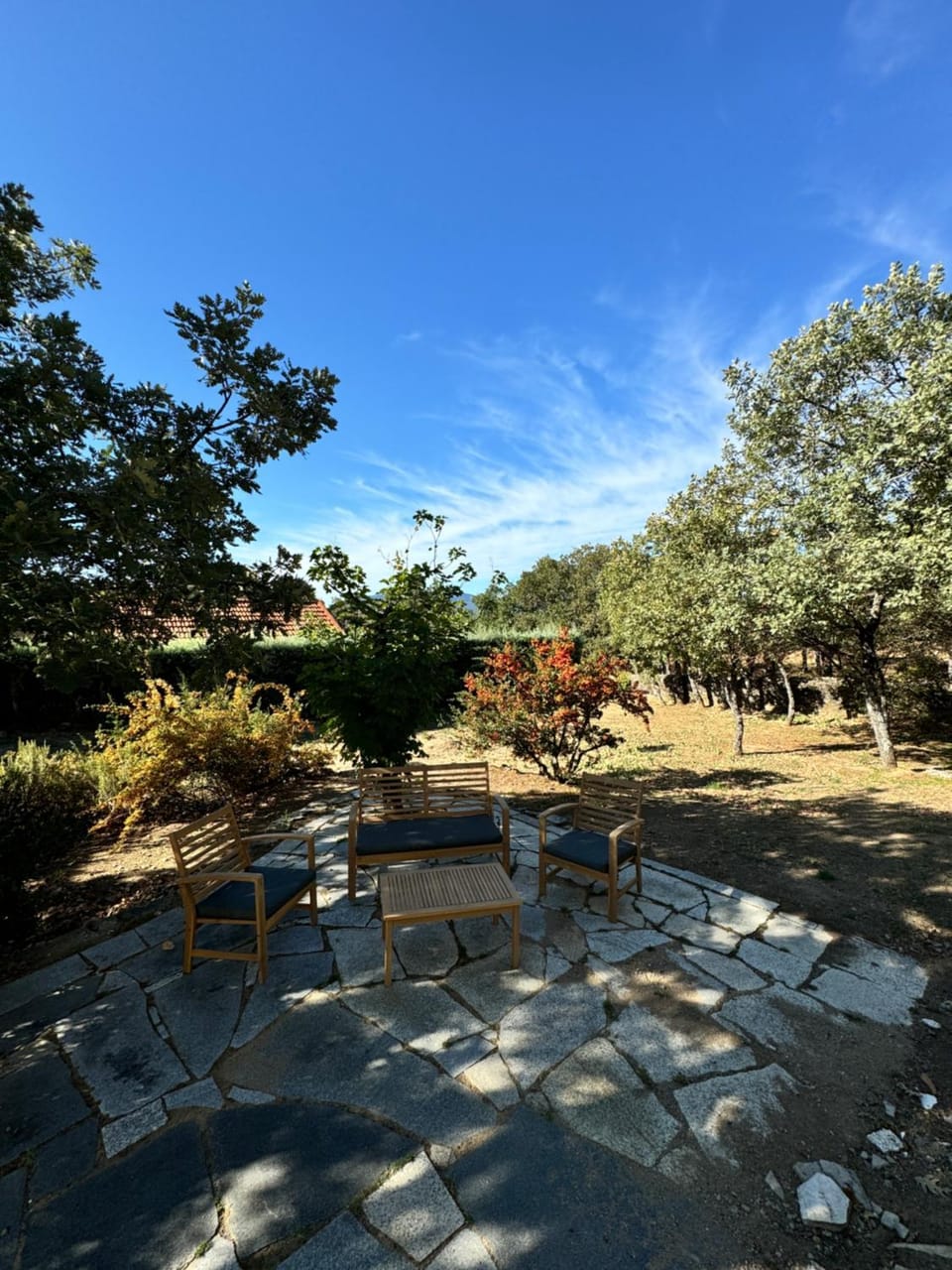 Spring, Day, Natural landscape, Garden, Garden view