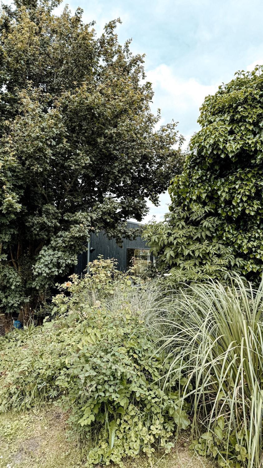 Property building, Natural landscape, Garden, Garden view