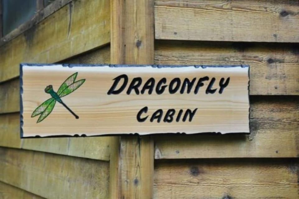 Dragonfly Cabin Cabin in Bryson City