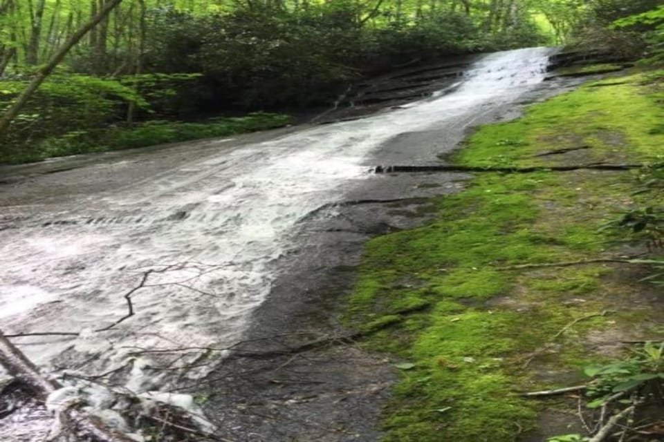 Dragonfly Cabin Cabin in Bryson City
