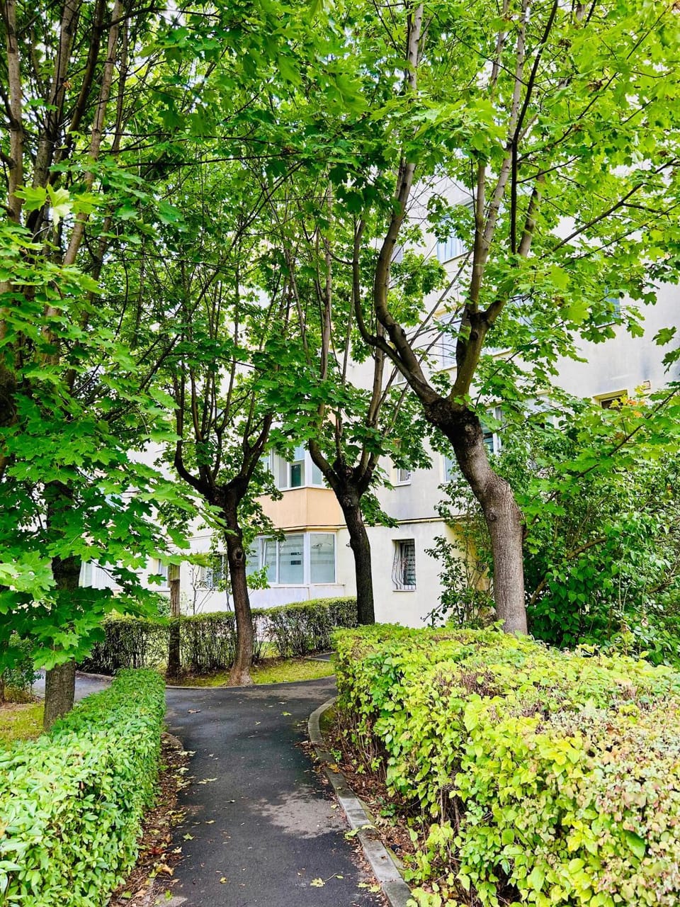 Spring, Day, Neighbourhood, Natural landscape, View (from property/room), Garden view, Street view