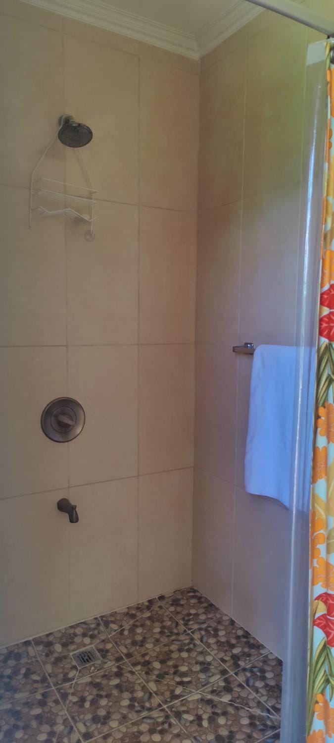 Shower, Bathroom, towels
