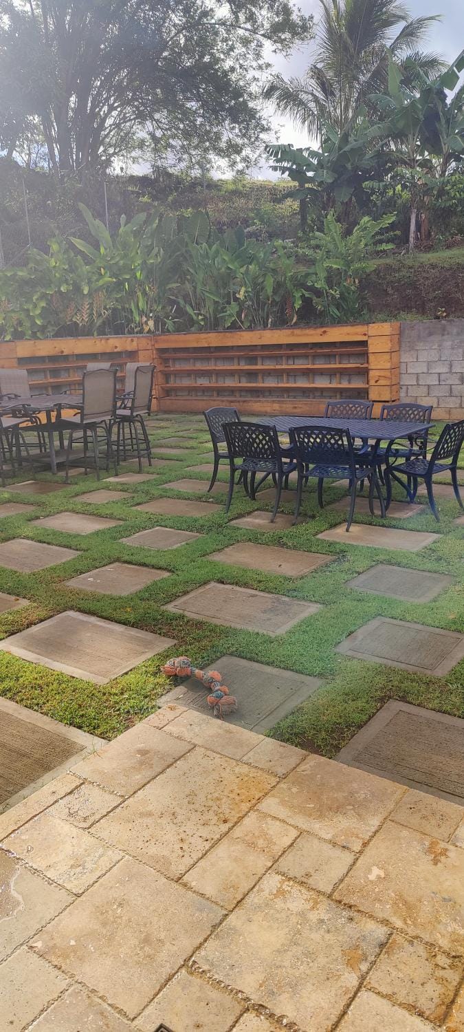 Garden view