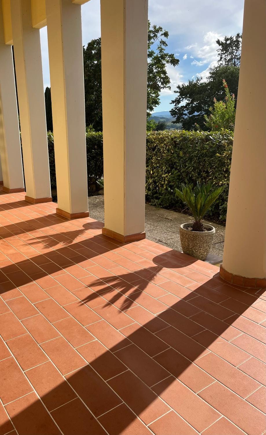 My Home in Peccioli Apartment in Tuscany