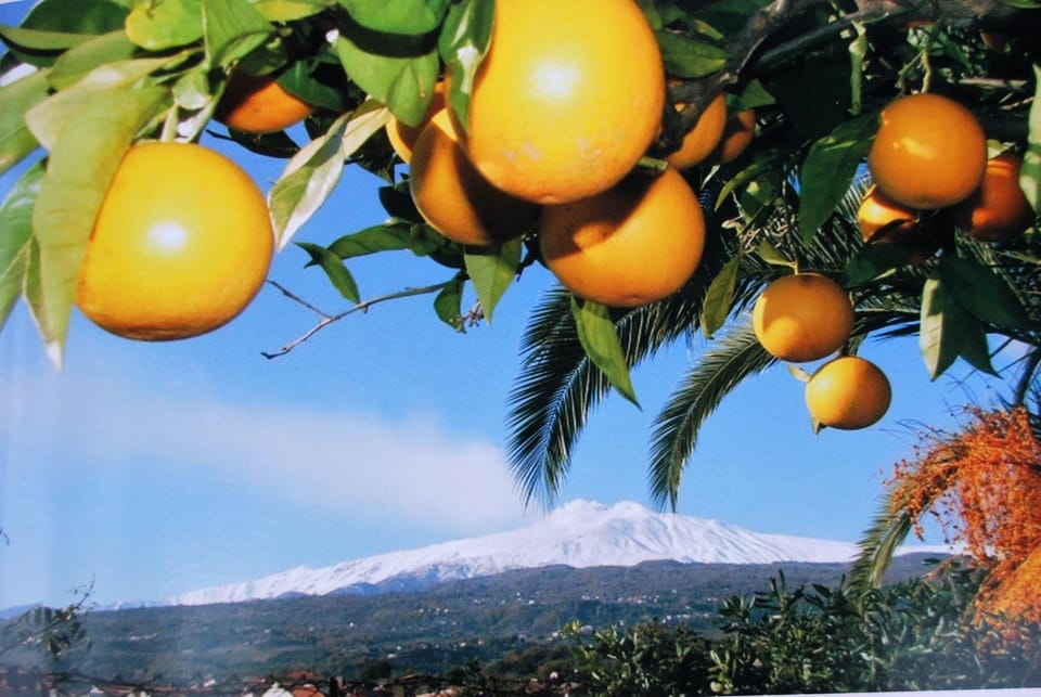 B&B Bellini Bed and Breakfast in Sicily