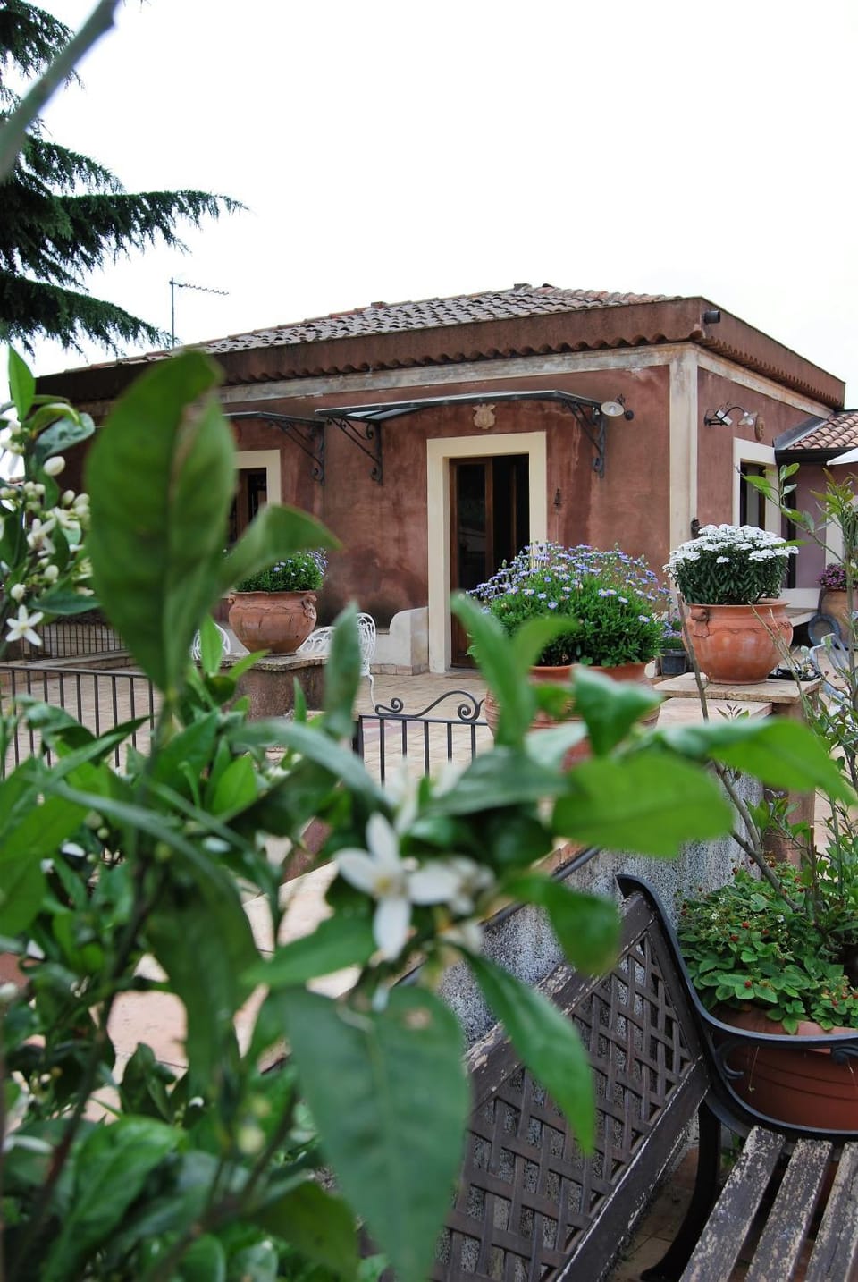 B&B Bellini Bed and Breakfast in Sicily