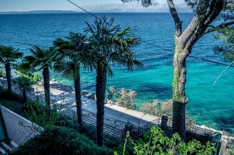 Beach, On site, Garden view, Sea view