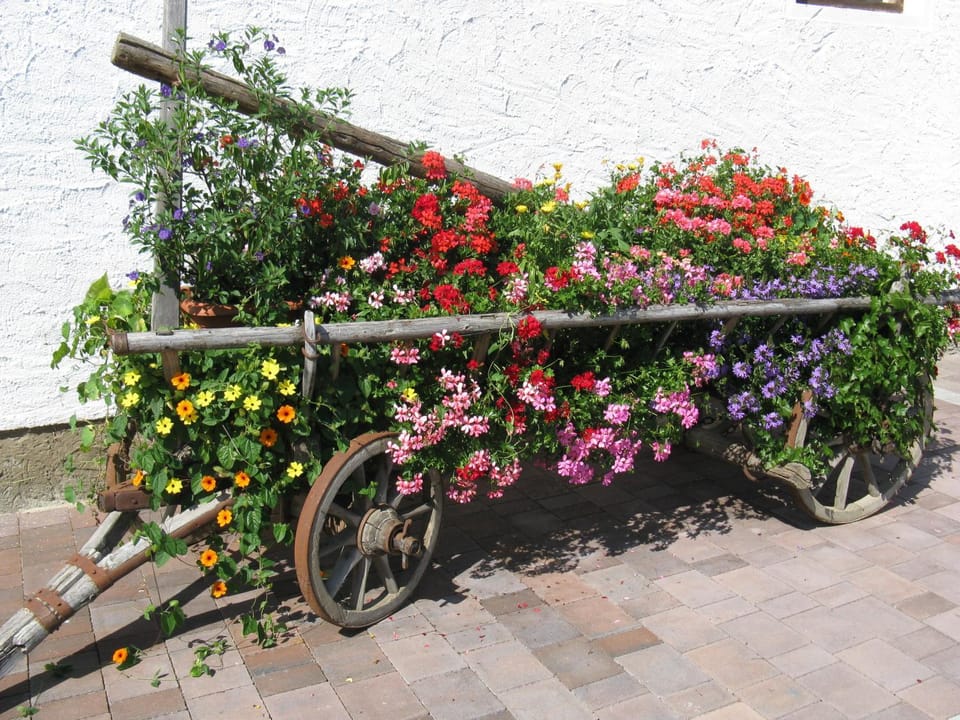 Summer, Other