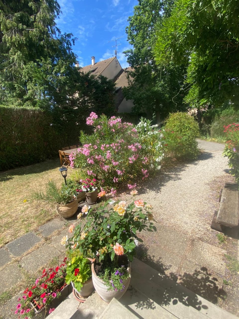 Garden, Garden view