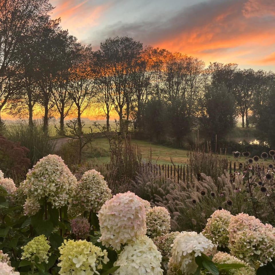 Sunrise