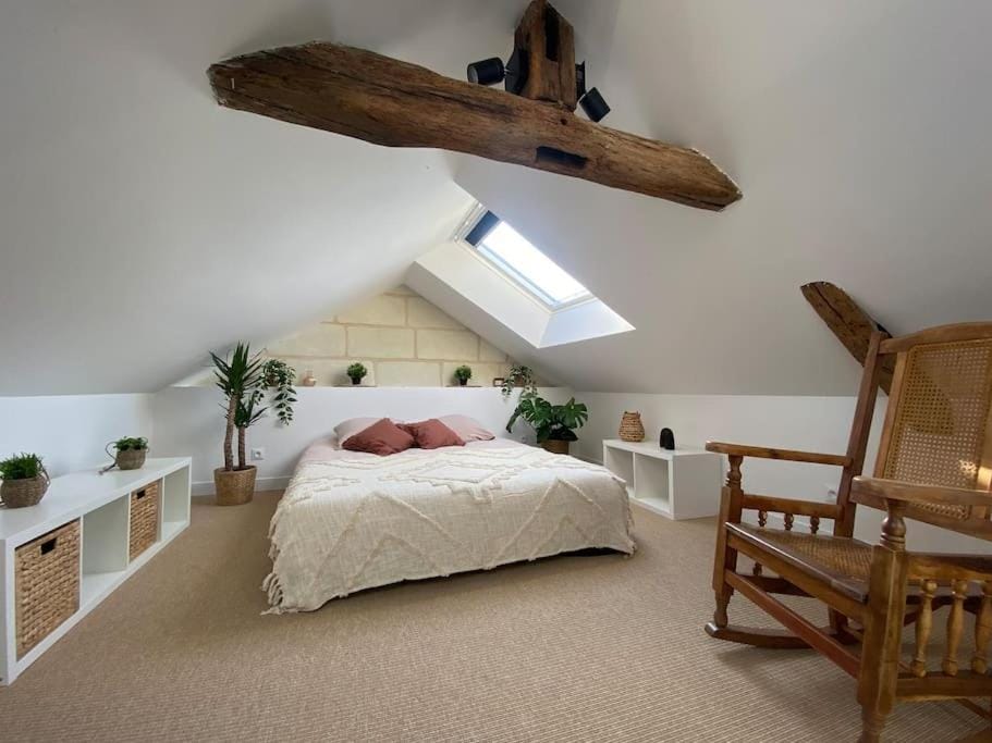 Duplex cinéma - centre historique Tours Apartment in Tours